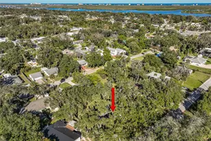 145 Oak Ridge Ave, Edgewater, FL 32132 - Photo 31