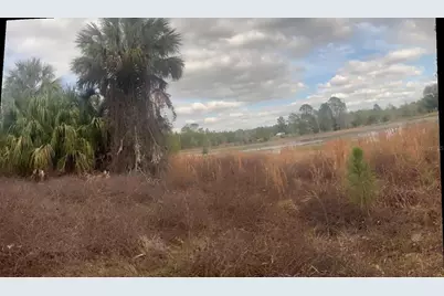 44750 Misty Isle Drive, Deland, FL 32720 - Photo 3