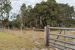 29605 Fullerville Rd, Deland, FL 32720 - Photo 31