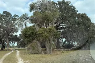 29605 Fullerville Rd, Deland, FL 32720 - Photo 3