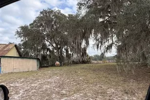 29605 Fullerville Rd, Deland, FL 32720 - Photo 11