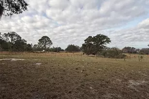 29605 Fullerville Rd, Deland, FL 32720 - Photo 9