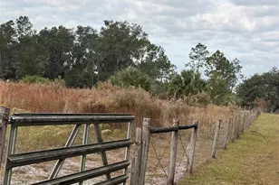 29605 Fullerville Rd, Deland, FL 32720 - Photo 21