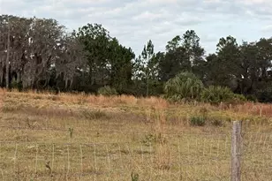 29605 Fullerville Rd, Deland, FL 32720 - Photo 19