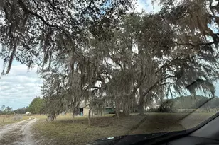 29605 Fullerville Rd, Deland, FL 32720 - Photo 9