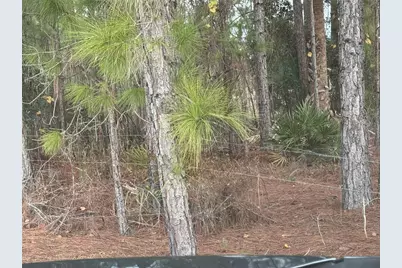 29605 Fullerville Road, Deland, FL 32720 - Photo 21