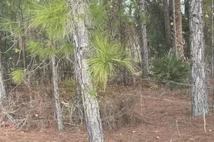 29605 Fullerville Rd, Deland, FL 32720 - Photo 21