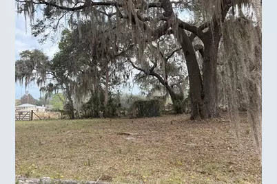 29605 Fullerville Road, Deland, FL 32720 - Photo 5