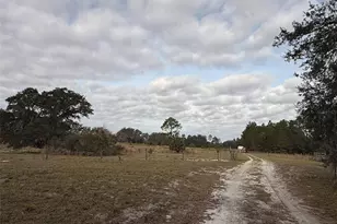 29605 Fullerville Rd, Deland, FL 32720 - Photo 11