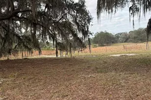 29605 Fullerville Rd, Deland, FL 32720 - Photo 7