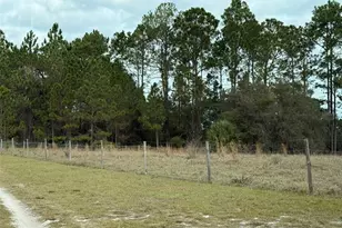 29605 Fullerville Rd, Deland, FL 32720 - Photo 17