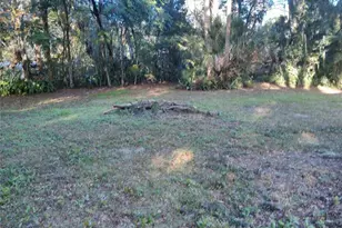 487 Rylane St, De Leon Springs, FL 32130 - Photo 37