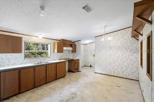 28636 Hibiscus Ave, Paisley, FL 32767 - Photo 11