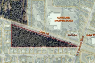 Doyle Rd, Deltona, FL 32738 - Photo 1