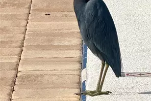 1000 Lake Of The Woods Blvd, Casselberry, FL 32730 - Photo 27