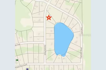 116 Osceola Road, Georgetown, FL 32139 - Photo 5