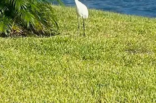 1601 Delphi Wy, New Smyrna Beach, FL 32168 - Photo 39