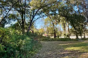 300 N Oak Ave, Orange City, FL 32763 - Photo 1