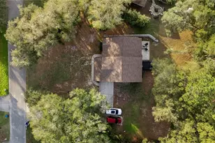 425 Black Ironwood Dr, Deland, FL 32724 - Photo 3