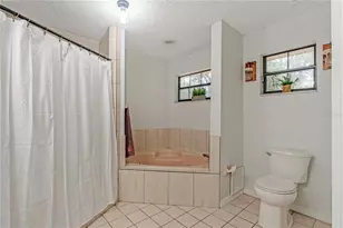 425 Black Ironwood Dr, Deland, FL 32724 - Photo 17