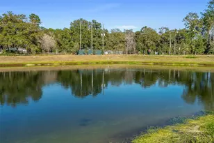 565 Lady Grace Pl, Deland, FL 32724 - Photo 39