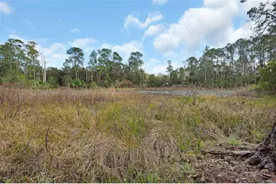 43746 Sunset Drive, Paisley, FL 32767 - Photo 37