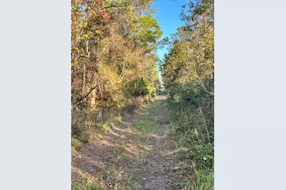 University Highlands/ Deland Crossings, Deland, FL 32724 - Photo 1