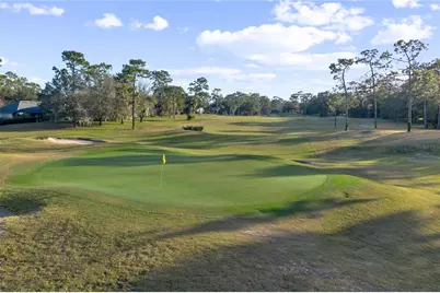 110 Curry Rise Court, Deland, FL 32724 - Photo 49