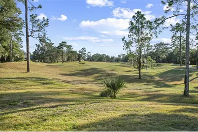 110 Curry Rise Court, Deland, FL 32724 - Photo 41