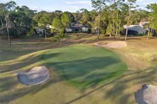 110 Curry Rise Ct, Deland, FL 32724 - Photo 45