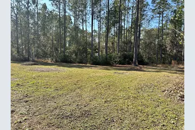 1730 Berrybush Street, Bunnell, FL 32110 - Photo 3