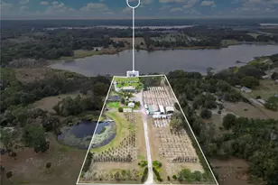 2067 Lake Juanita Rd, Seville, FL 32190 - Photo 93