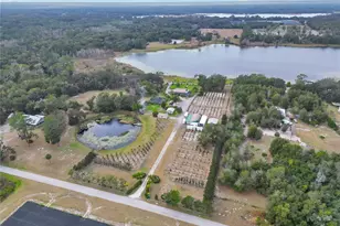 2067 Lake Juanita Rd, Seville, FL 32190 - Photo 83