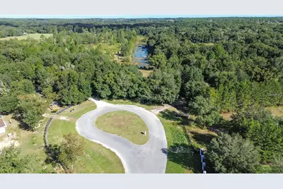 Lot 6 Tree Frog Lane, Eustis, FL 32736 - Photo 3