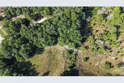 Lot 6 Tree Frog Lane, Eustis, FL 32736 - Photo 13