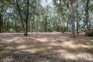 3528 Dunstable Dr, Deland, FL 32720 - Photo 31