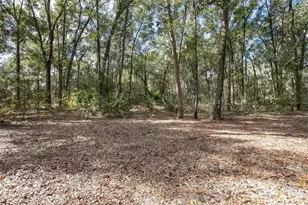 3528 Dunstable Dr, Deland, FL 32720 - Photo 33