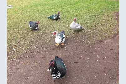 104 Kelly Thomas Way, Daytona Beach, FL 32124 - Photo 35