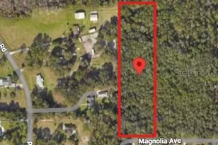 1619 Magnolia Ave, Deland, FL 32724 - Photo 5