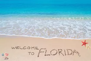 2937 S Atlantic Ave, Daytona Beach Shores, FL 32118 - Photo 55