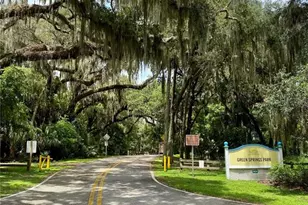 140 Orchid Woods Ct, Deltona, FL 32725 - Photo 33