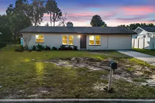 748 Colfax Dr, Daytona Beach, FL 32114 - Photo 29
