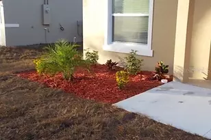 820 Valencia Ave, Daytona Beach, FL 32114 - Photo 5