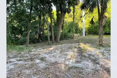 Park Avenue, De Leon Springs, FL 32130 - Photo 3