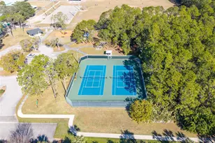 3873 Dorsiere Avenue, Port Orange, FL 32129 - Photo 33