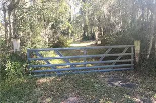 384 Crescent Lake Shore Dr, Crescent City, FL 32112 - Photo 27