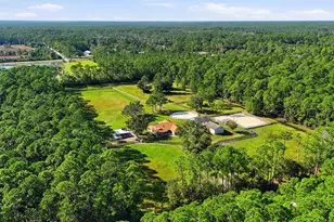 460 Spring Forest Dr, New Smyrna Beach, FL 32168 - Photo 69