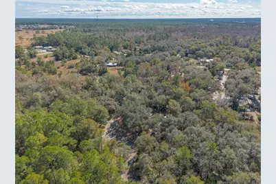 1501 Dillard Road, Astor, FL 32102 - Photo 39