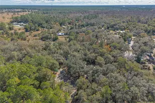 1501 Dillard Rd, Astor, FL 32102 - Photo 39