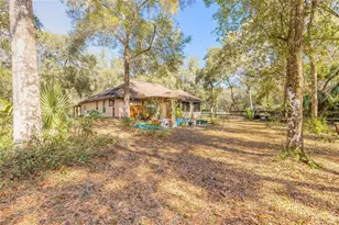 1501 Dillard Rd, Astor, FL 32102 - Photo 33